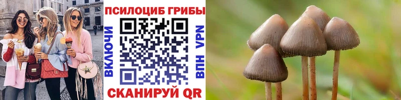 Галлюциногенные грибы GOLDEN TEACHER  Зеленоградск 